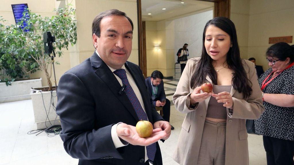 Diputados denuncian malas condiciones laborales de manipuladoras y falla en entrega de alimentos para niños, niñas y adolescentes. Diputados denuncian malas condiciones laborales de manipuladoras y falla en entrega de alimentos para niños, niñas y adolescentes.