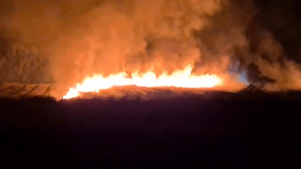 Cerca de 13 hectáreas son consumidas por incendios en el sector "La Palmilla" en Linares Cerca de 13 hectáreas son consumidas por incendios en el sector "La Palmilla" en Linares