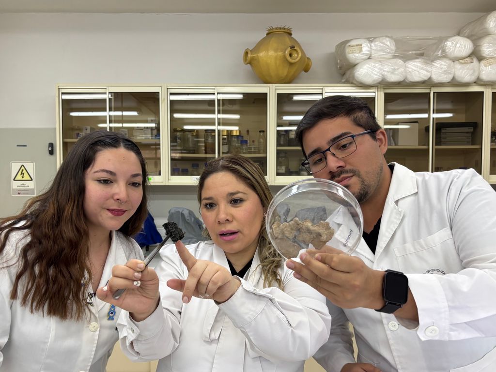 suelos dañados suelos dañados