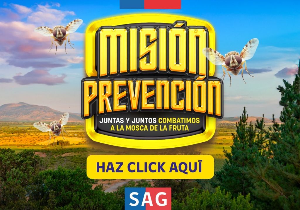 Campaña misión prevención Campaña misión prevención