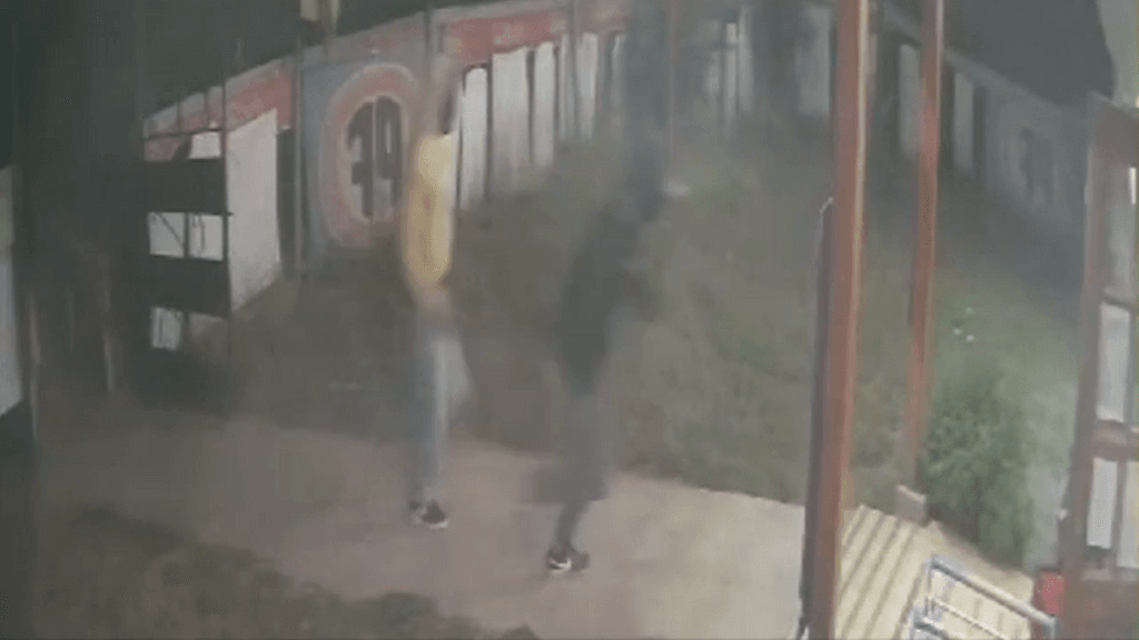 Prisión preventiva para vecinos que robaron minimarket en Longaví Prisión preventiva para vecinos que robaron minimarket en Longaví