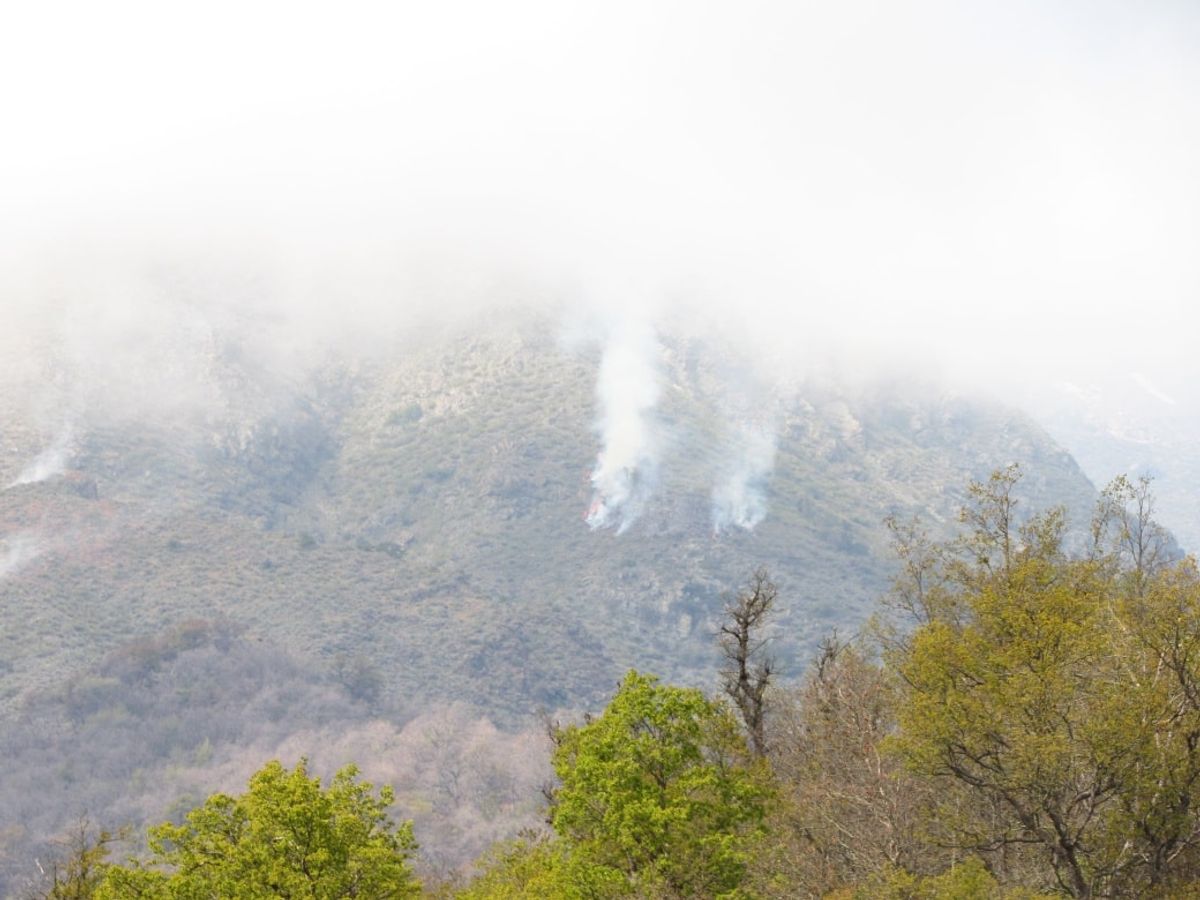 incendio reserva los bellotos