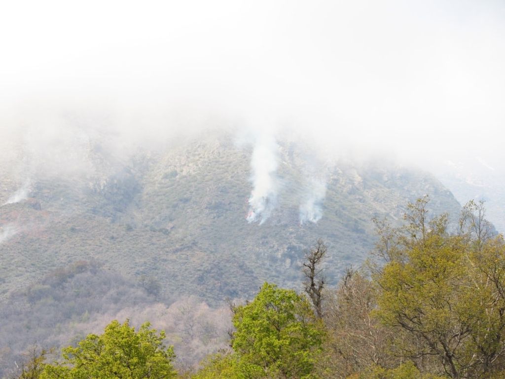 incendio reserva los bellotos