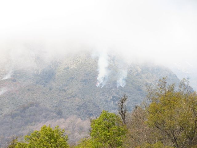 incendio reserva los bellotos