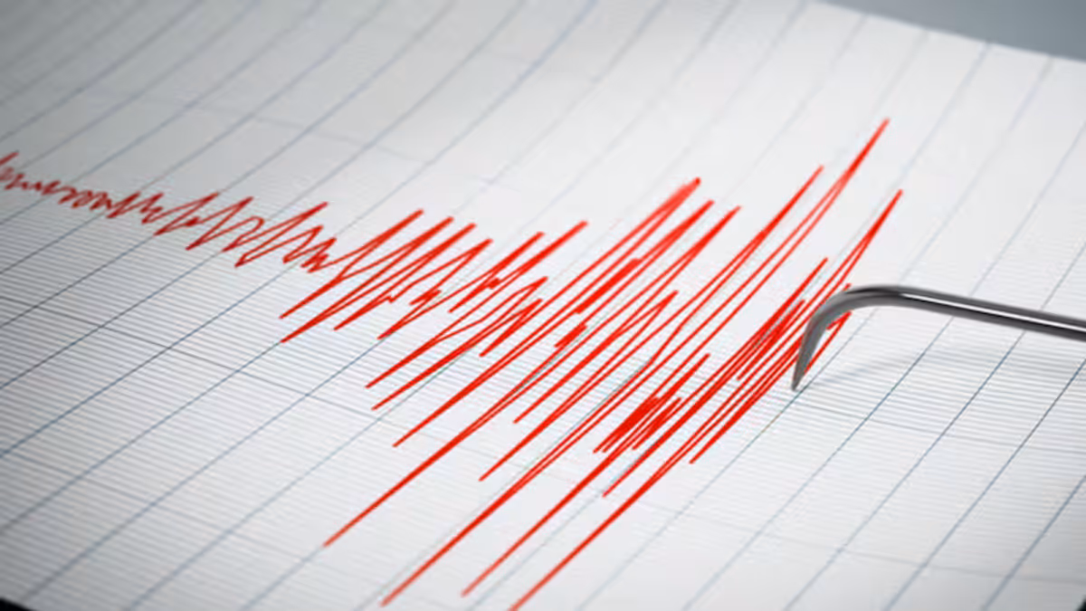 Temblor 6.1 Temblor 6.1