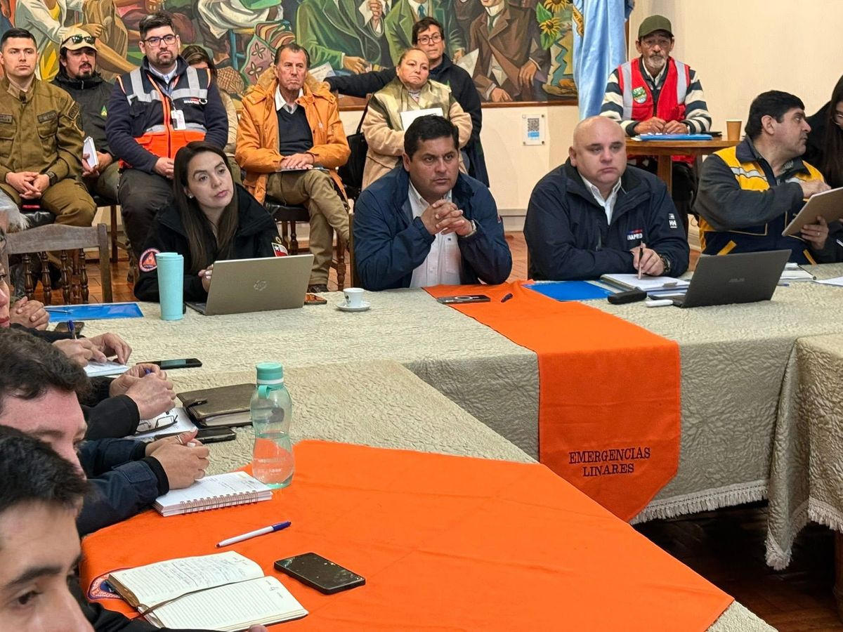 municipalidad Linares