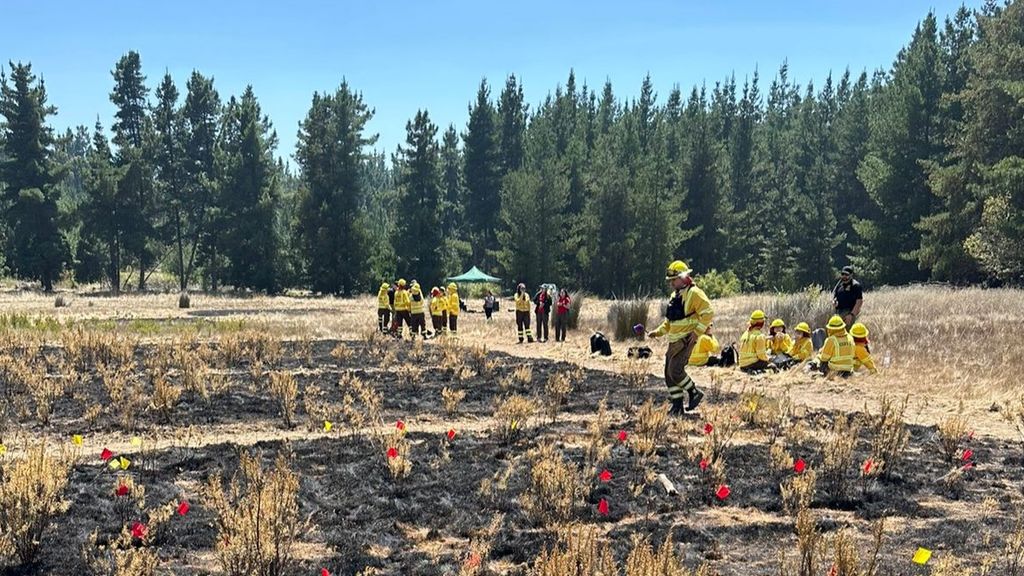 UAD de CONAF Maule realizó el curso “Determinación de Origen y Causas de Incendios Forestales” UAD de CONAF Maule realizó el curso “Determinación de Origen y Causas de Incendios Forestales”