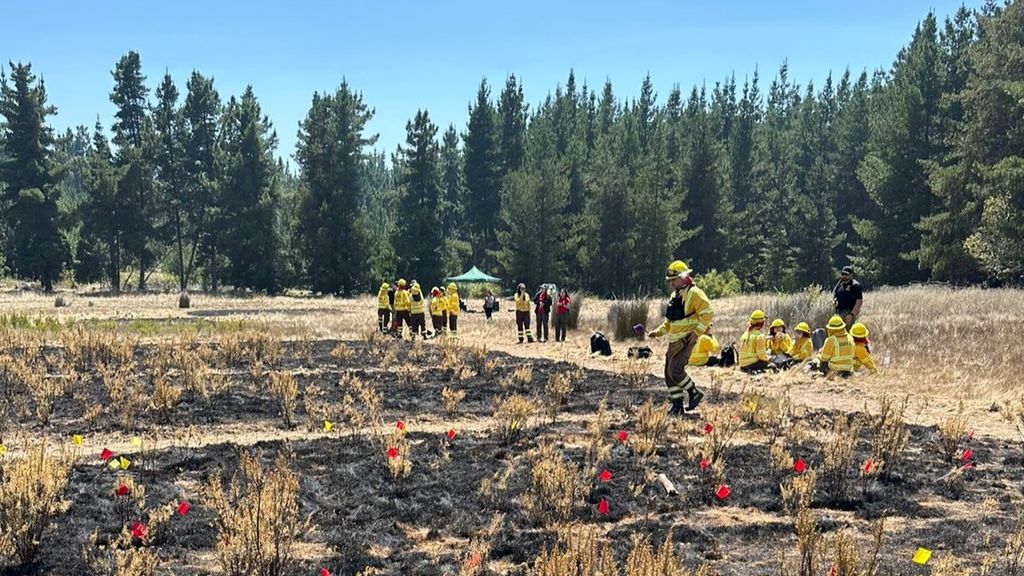 UAD de CONAF Maule realizó el curso “Determinación de Origen y Causas de Incendios Forestales”