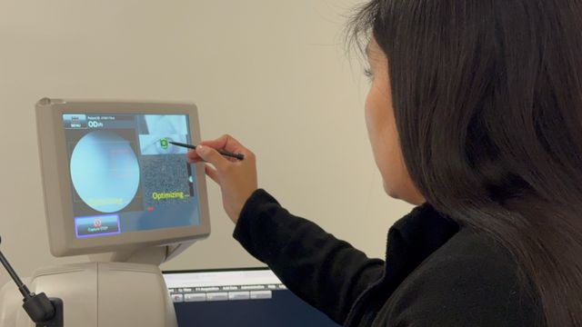 Aumento de enfermedades otoño