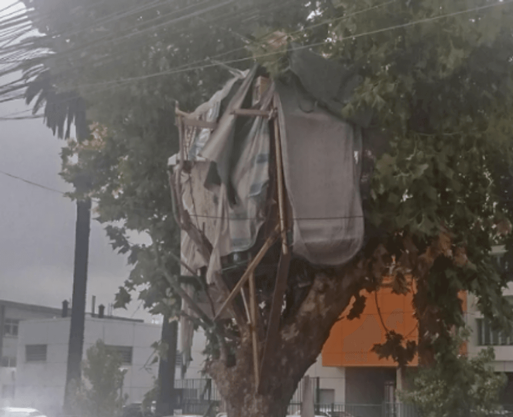 Casa en el arbol Casa en el arbol