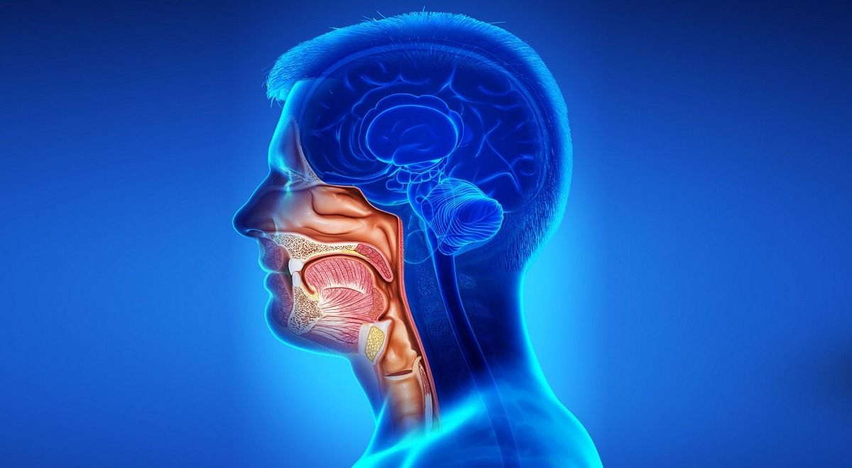 WhatsApp Image 2026-08-11 at 5 WhatsApp Image 2026-08-11 at 5