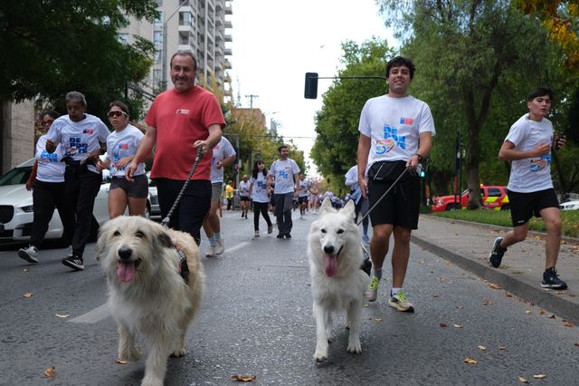 Gran corrida en el Maule Gran corrida en el Maule