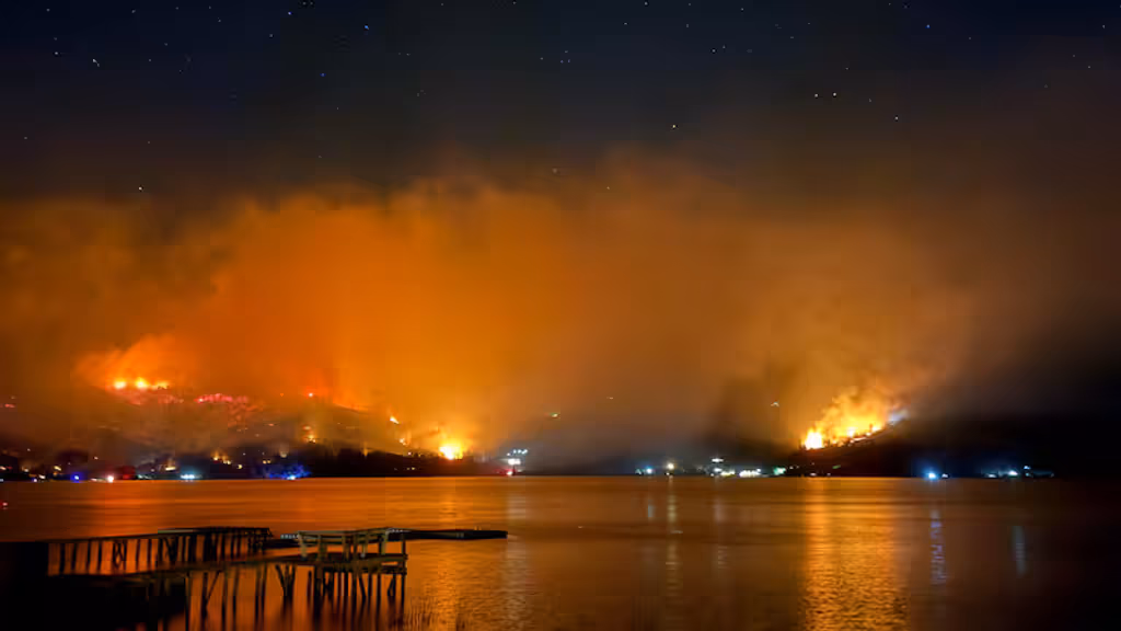 Incendio vichuquen Incendio vichuquen