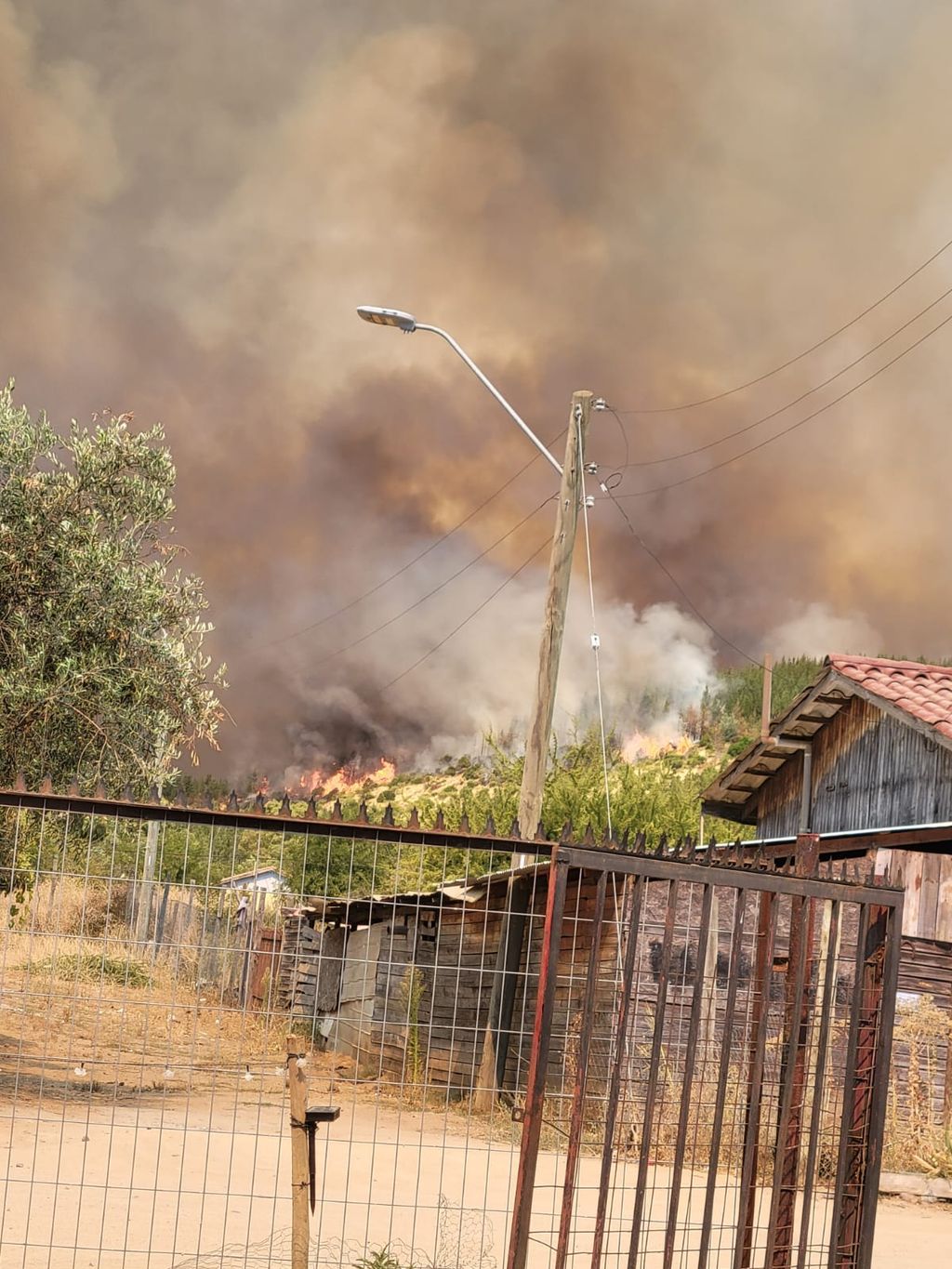 INCENDIO HUERTA MAULE INCENDIO HUERTA MAULE