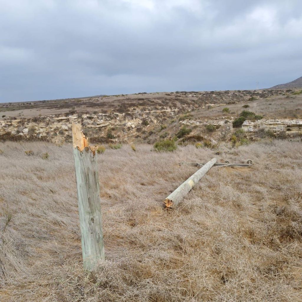 Robo de cables Maule Robo de cables Maule