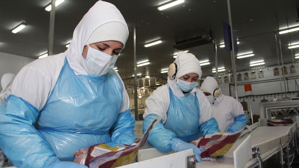 SAG logra apertura del mercado paraguayo para exportación de carne y subproductos avícolas SAG logra apertura del mercado paraguayo para exportación de carne y subproductos avícolas