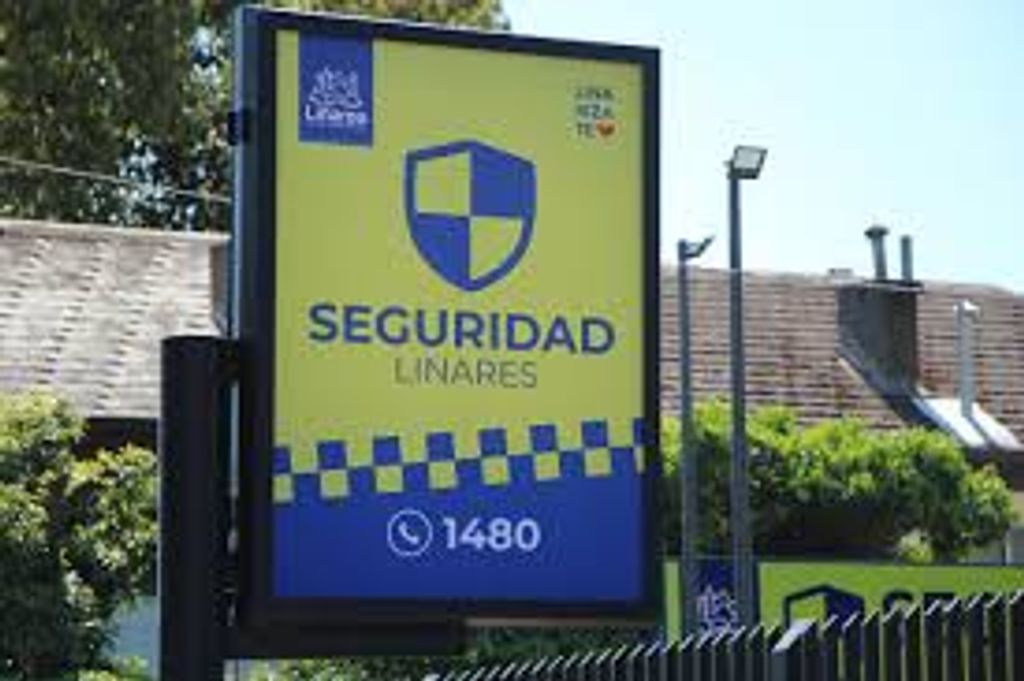 seguridad publica seguridad publica