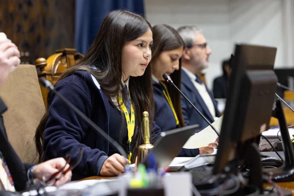Estudiantes Senado Estudiantes Senado