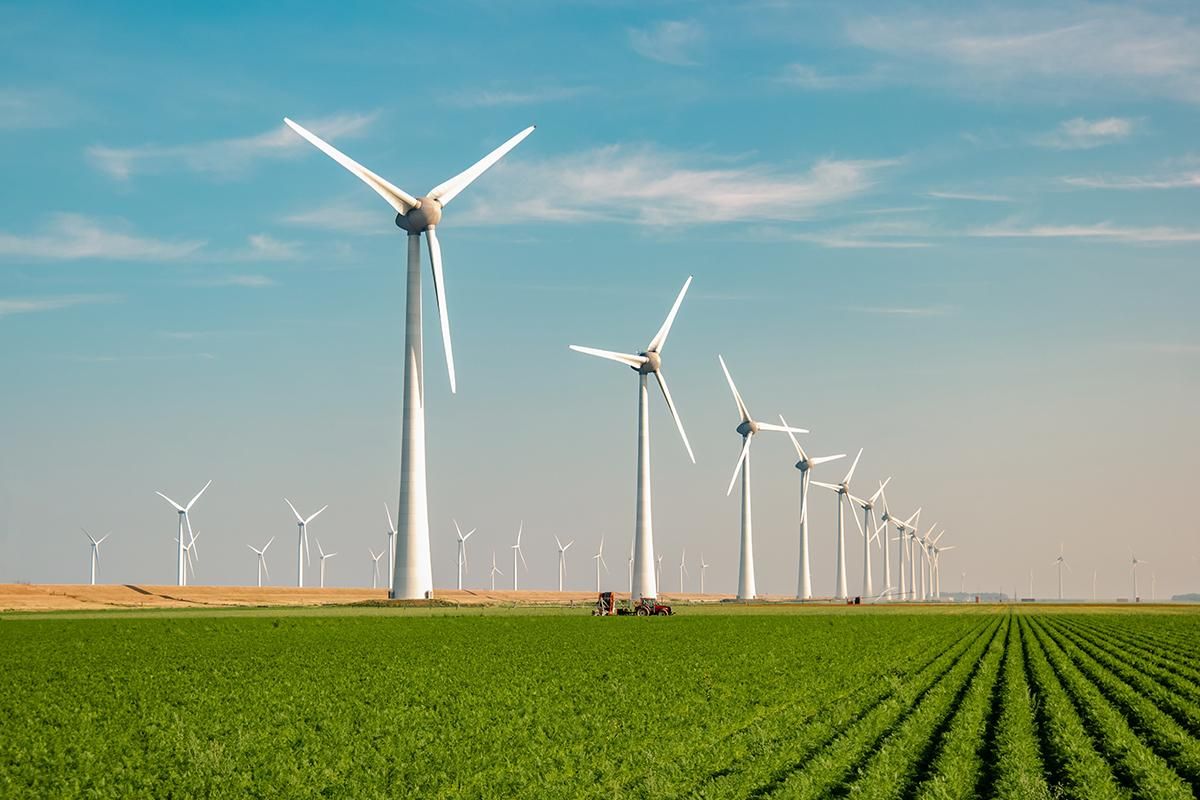 Imagen de referencia Imagen de referencia