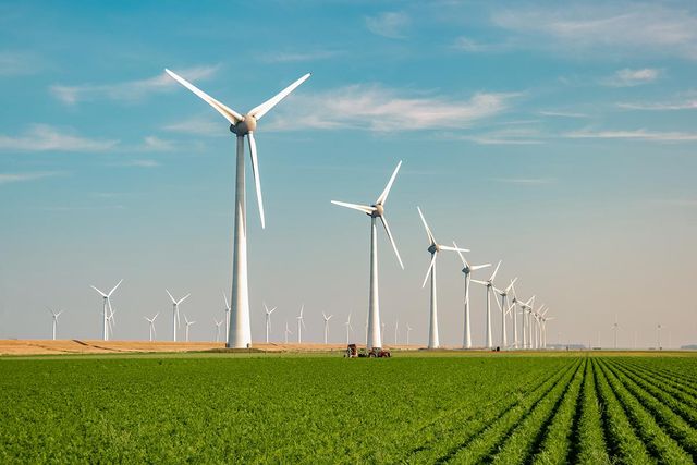 Imagen de referencia