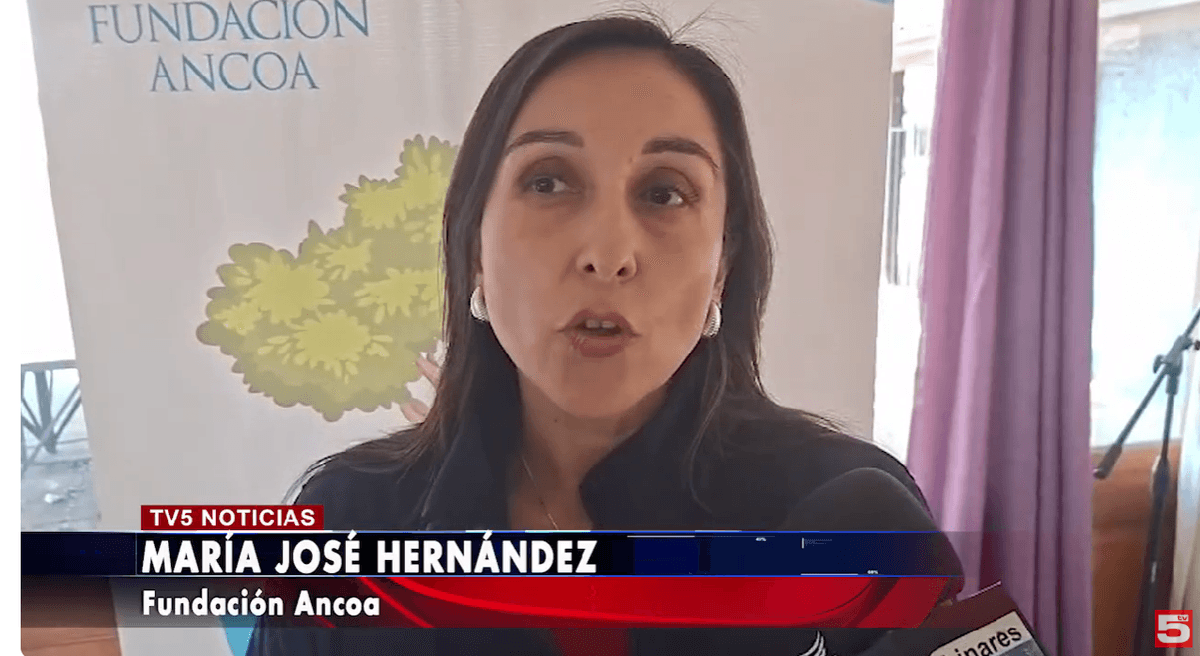 Fundación ancoa