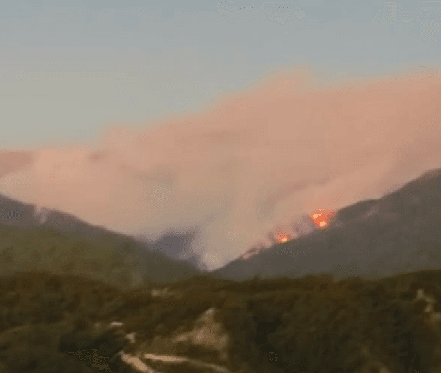 Incendio Linares - Pejerrey Incendio Linares - Pejerrey