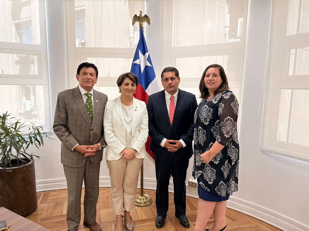 Mario Meza Rodrigo Hermosilla Mario Meza Rodrigo Hermosilla