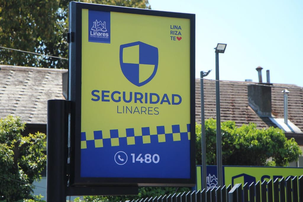 Funcionarios de Seguridad Pública se capacitan en artes marciales Funcionarios de Seguridad Pública se capacitan en artes marciales