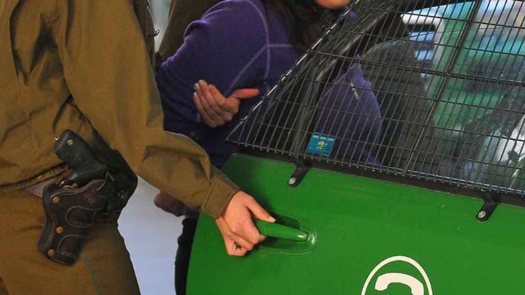 Carabineros detiene a dos sujetos por comercializar droga en Linares Carabineros detiene a dos sujetos por comercializar droga en Linares