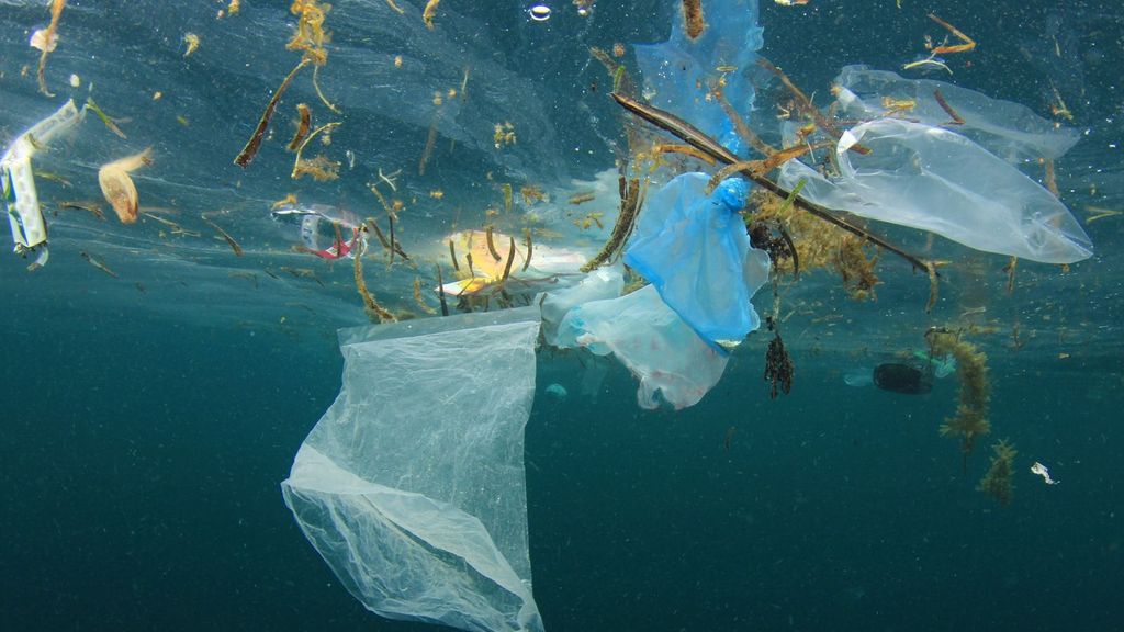 Un millón de toneladas de aditivos plásticos llegan a los océanos cada año Un millón de toneladas de aditivos plásticos llegan a los océanos cada año