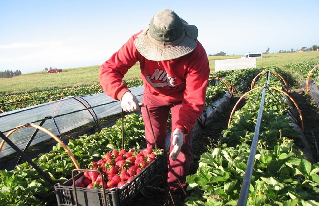 Autoridades aprueban más de 1.800 millones de pesos para agricultores de la Región del Maule Autoridades aprueban más de 1.800 millones de pesos para agricultores de la Región del Maule