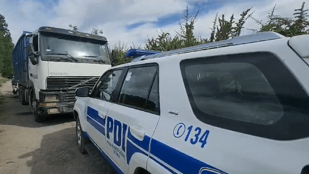 PDI investiga robo de vacunos en Longaví PDI investiga robo de vacunos en Longaví