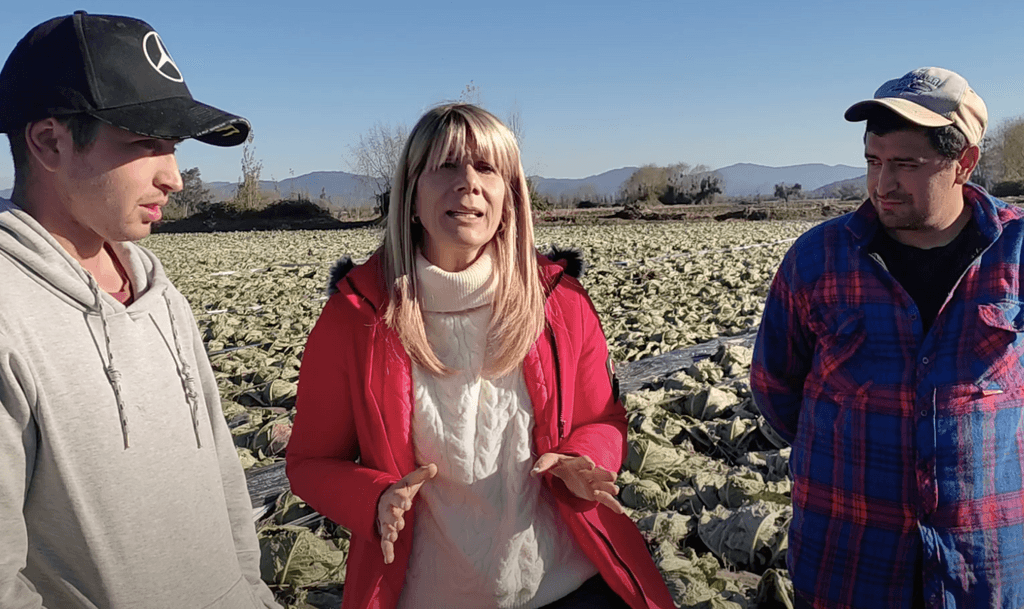 Senadora Rincón formula urgente llamado a salvar la agricultura regional Senadora Rincón formula urgente llamado a salvar la agricultura regional