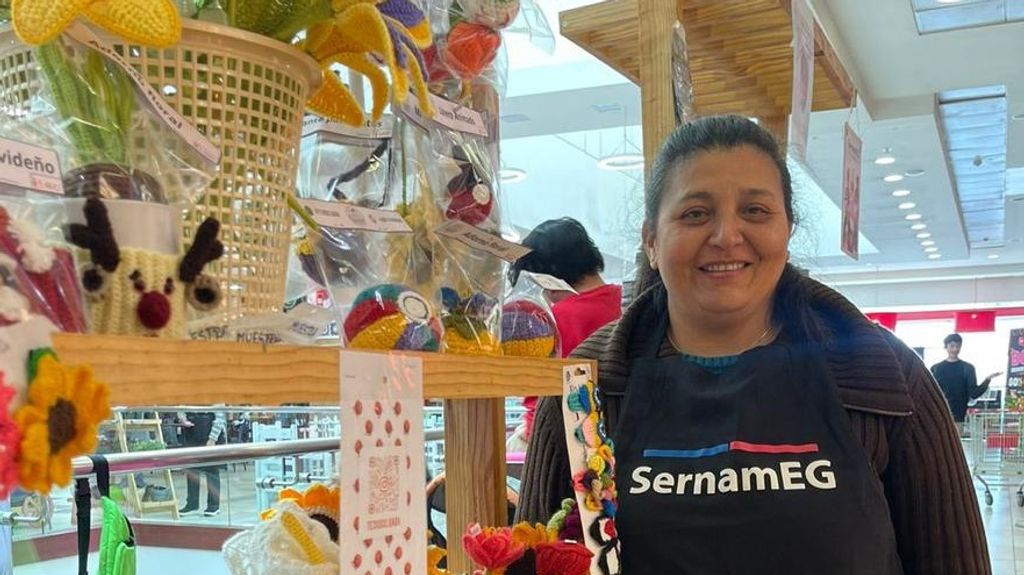 Programa Mujer Emprende de SernamEG cierra sus postulaciones este viernes 05 de abril Programa Mujer Emprende de SernamEG cierra sus postulaciones este viernes 05 de abril