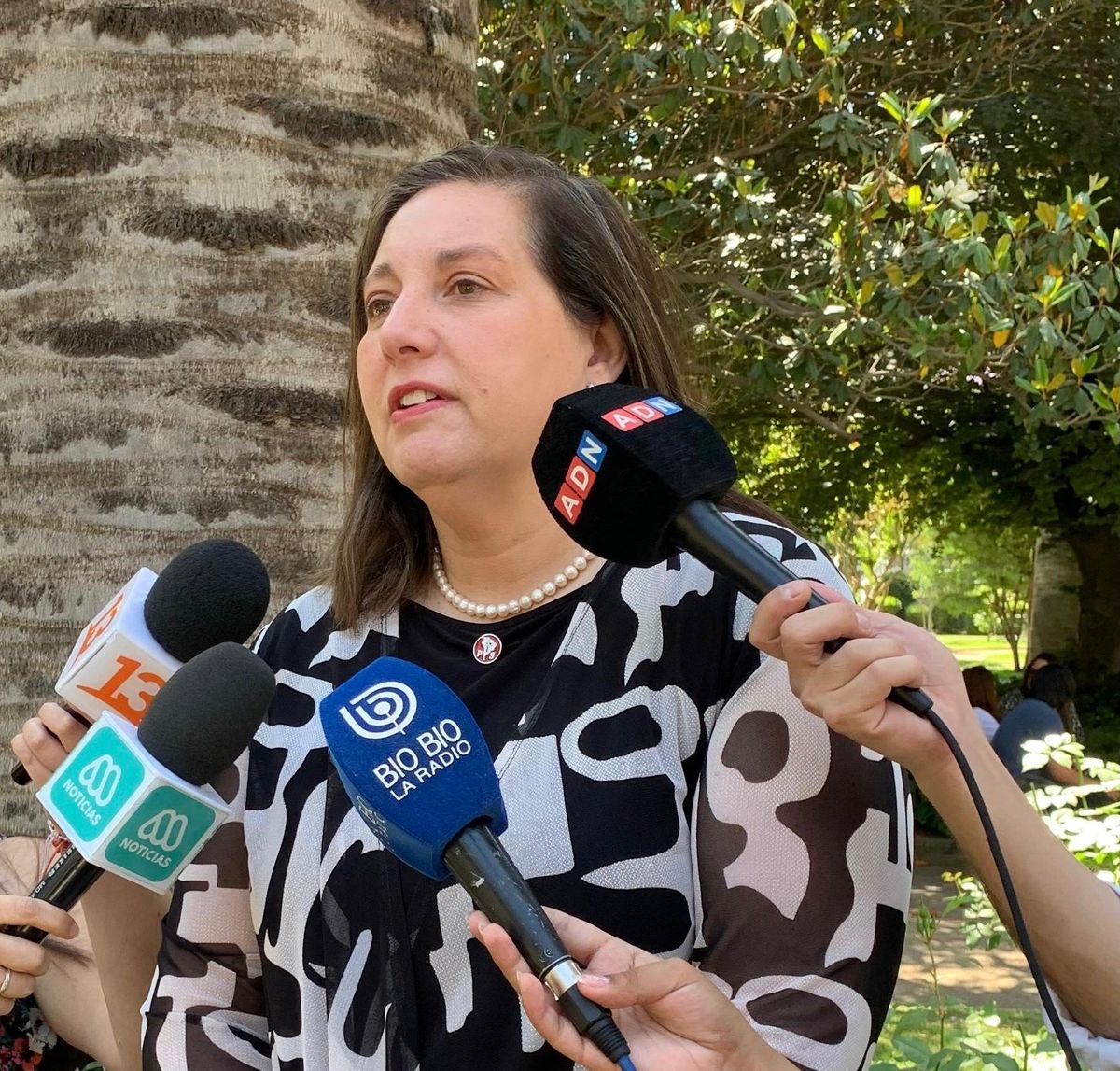 Senadora Vodanovic Senadora Vodanovic