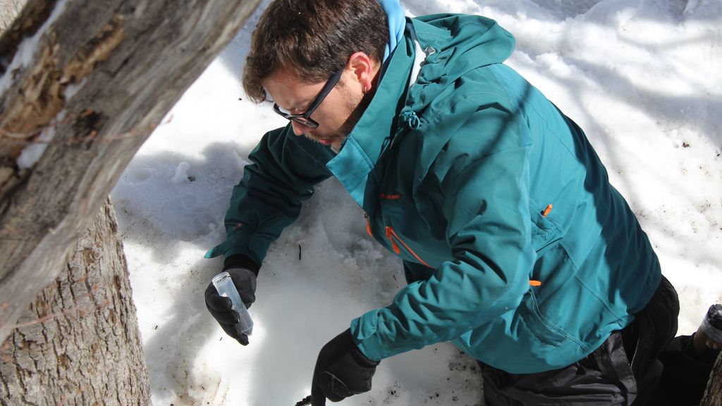 Chileno desarrolla estudio pionero a nivel mundial para futuras aplicaciones biotecnológicas Chileno desarrolla estudio pionero a nivel mundial para futuras aplicaciones biotecnológicas