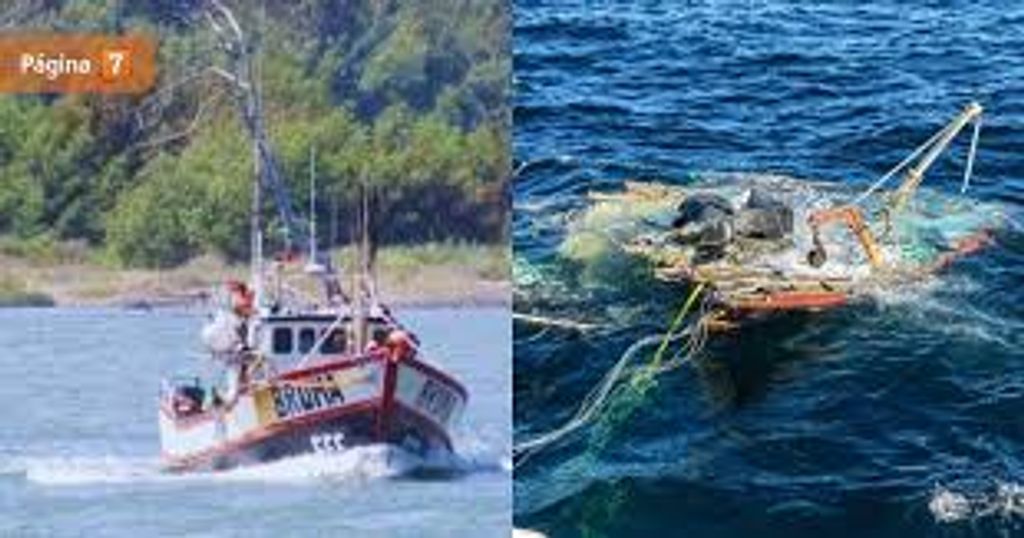 descarga (6) descarga (6)