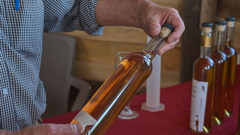 Viñateros de San Javier diversifican sus productos gracias al apoyo del Gobierno Regional e INDAP Viñateros de San Javier diversifican sus productos gracias al apoyo del Gobierno Regional e INDAP