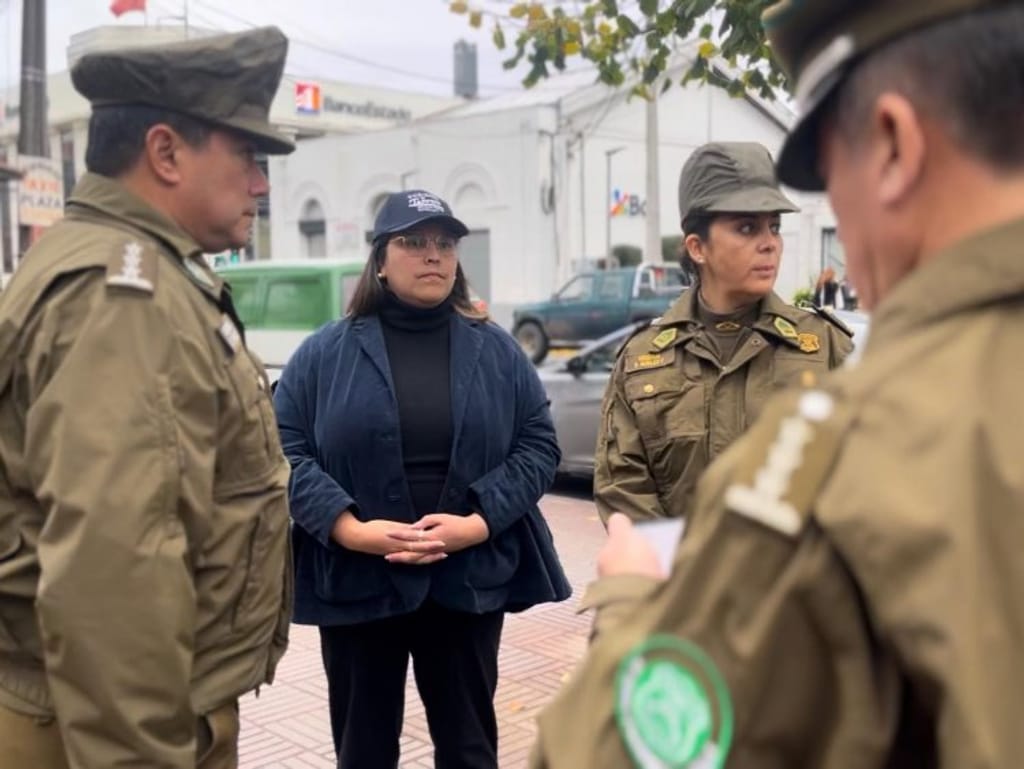 Delegada Priscila González destaca el incremento de uso del programa "Denuncia Seguro" en Linares Delegada Priscila González destaca el incremento de uso del programa "Denuncia Seguro" en Linares