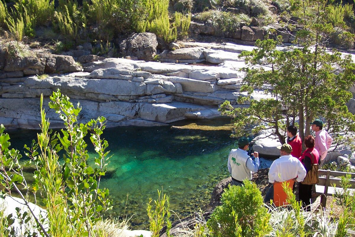 Reserva nacional Ñuble Reserva nacional Ñuble