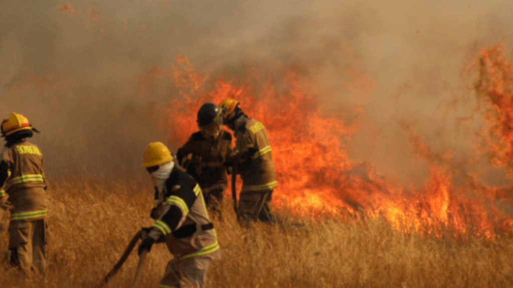 CONAF Maule: Actualización Incendios Forestales en la Región del Maule CONAF Maule: Actualización Incendios Forestales en la Región del Maule