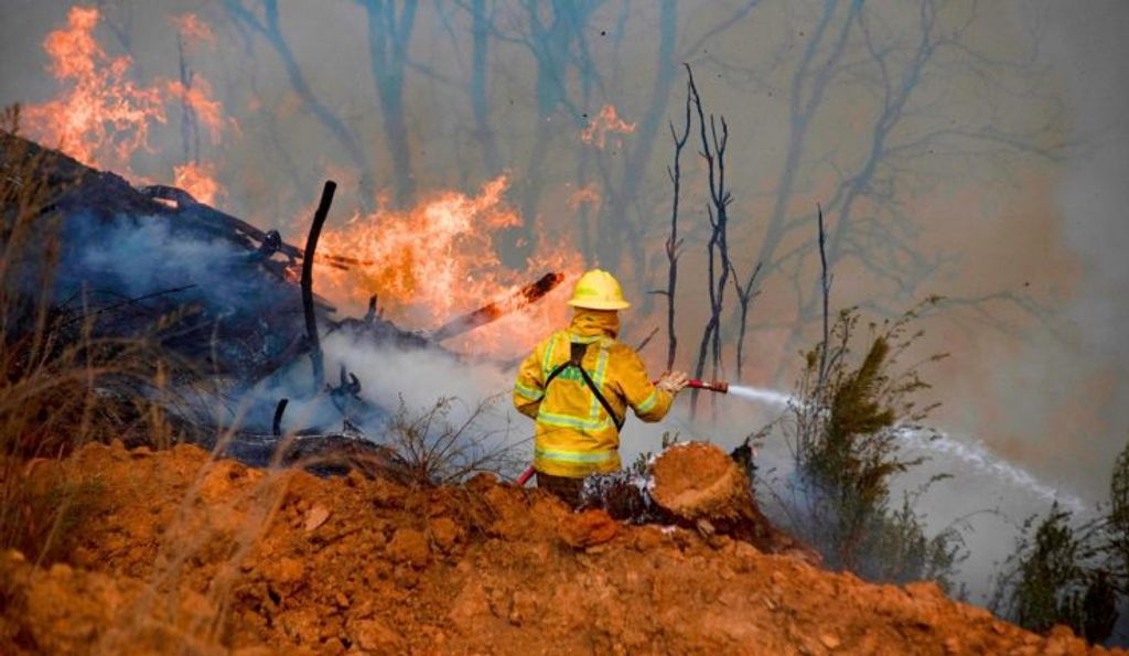 Imagen de referencia Imagen de referencia