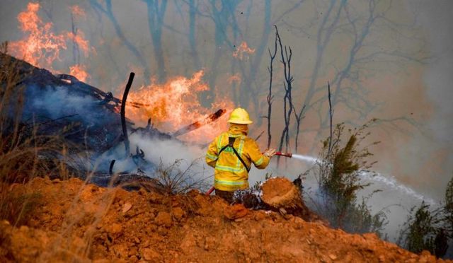Imagen de referencia Imagen de referencia
