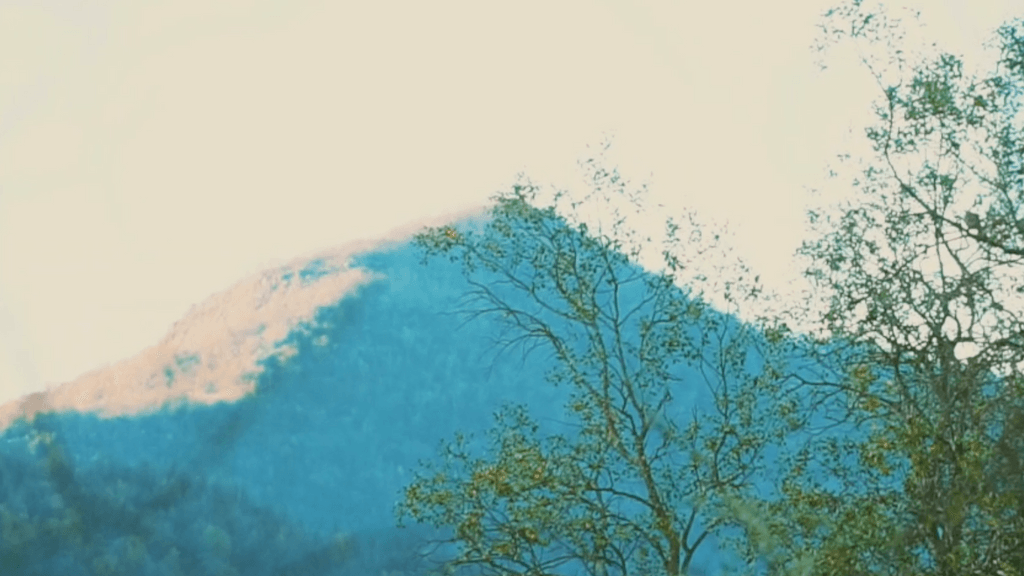 Captura de Pantalla 2024-07-03 a la(s) 14 Captura de Pantalla 2024-07-03 a la(s) 14