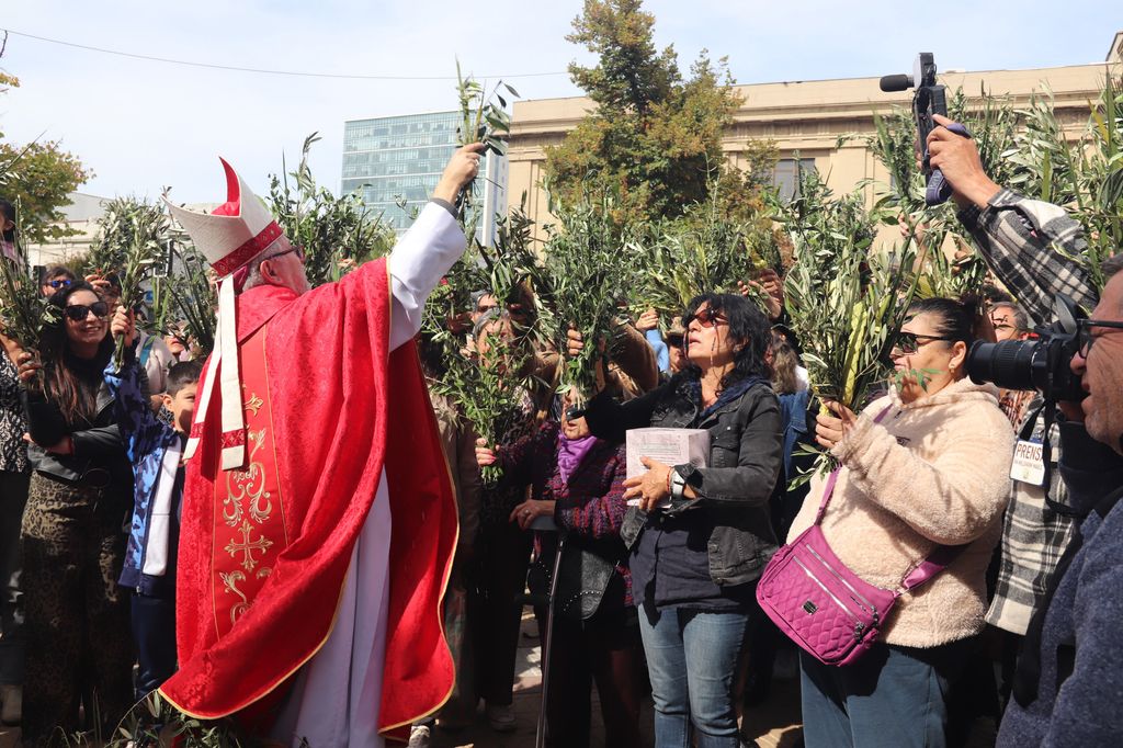 Domingo de ramos Domingo de ramos
