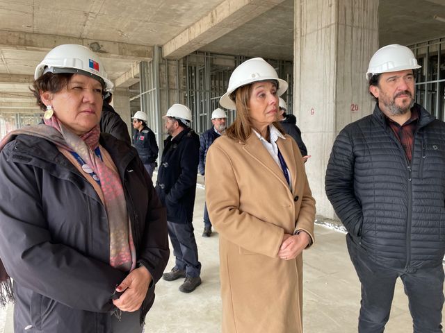 contralora hospital linares
