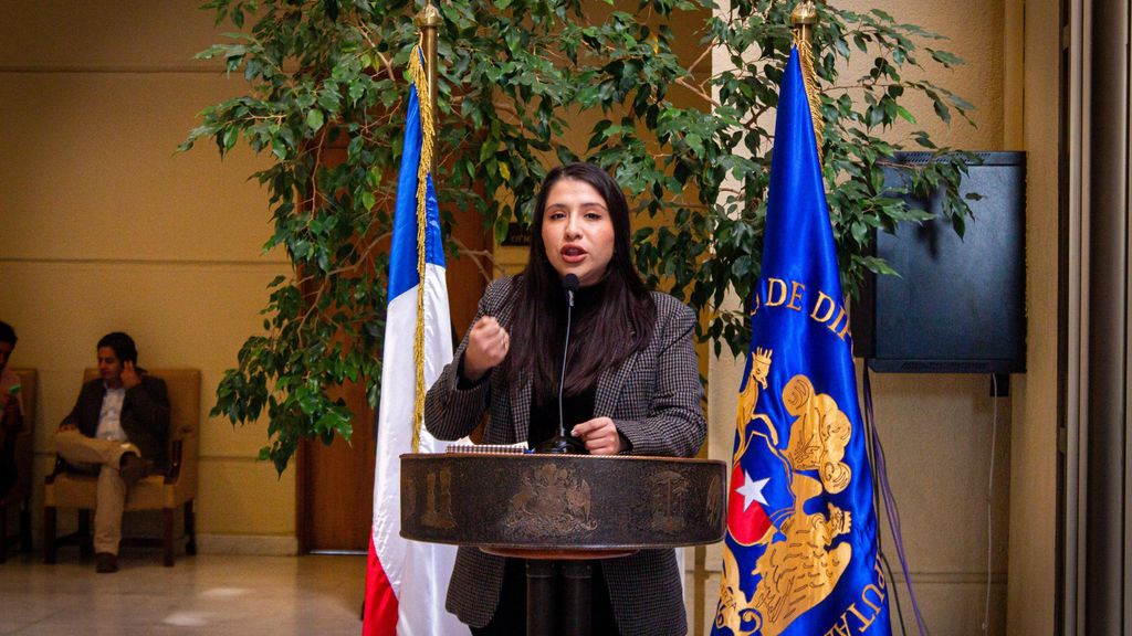 Diputada Consuelo Veloso presentó propuesta para enfrentar el problema de los perros asilvestrados Diputada Consuelo Veloso presentó propuesta para enfrentar el problema de los perros asilvestrados