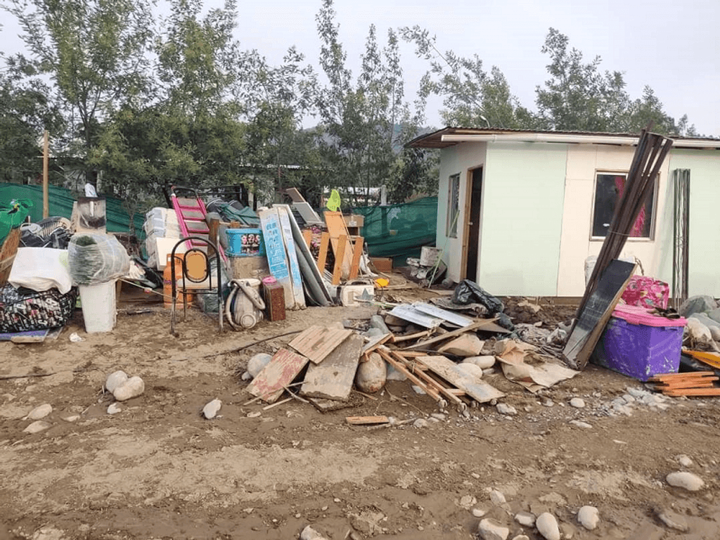 Vecinos alertan por la presencia de ratones en zonas afectadas por la catástrofe Vecinos alertan por la presencia de ratones en zonas afectadas por la catástrofe