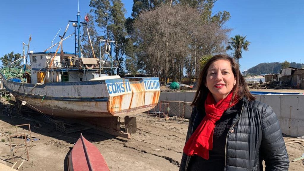 Senadora Vodanovic oficia a BB.NN con tal de evitar nueva "Toma VIP" en Constitución Senadora Vodanovic oficia a BB.NN con tal de evitar nueva "Toma VIP" en Constitución