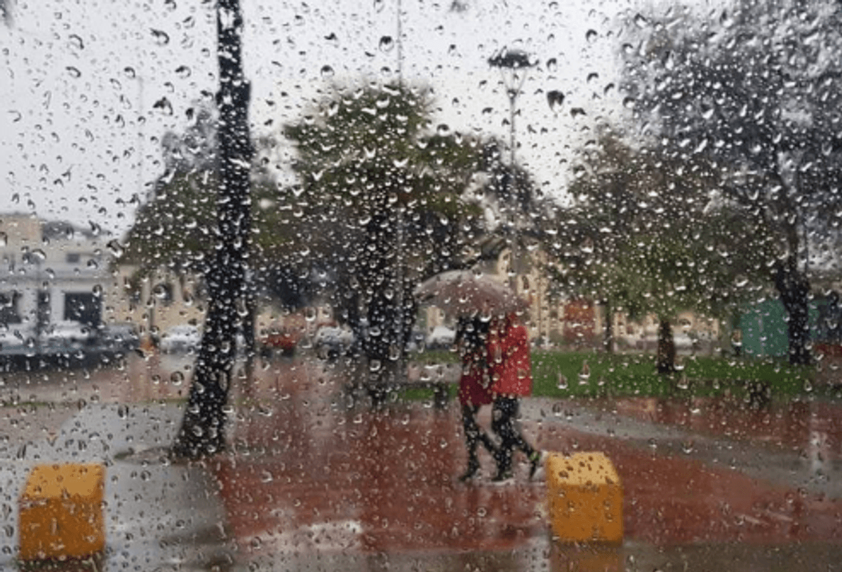 Imagen de referencia Imagen de referencia